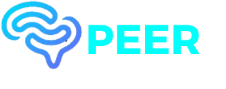 PeerSolution
